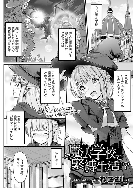 B182asnw01613pl