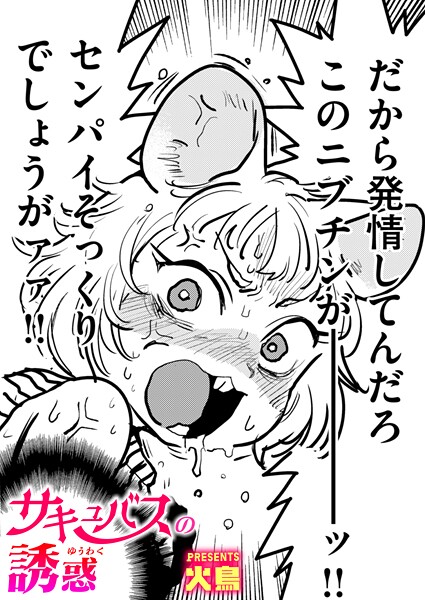 B915awnmg03719pl