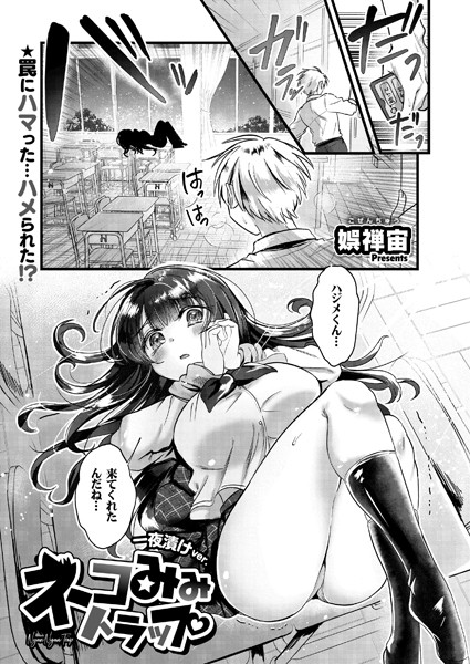 B092agwrk02834pl