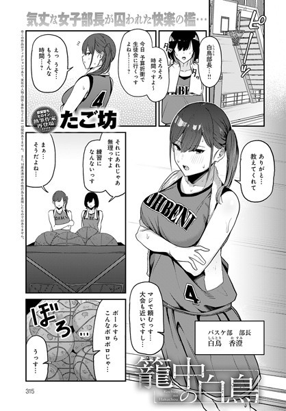 K568agotp06593pl