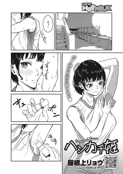 S011akamj01739pl