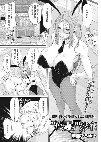 S011akamj01882pl