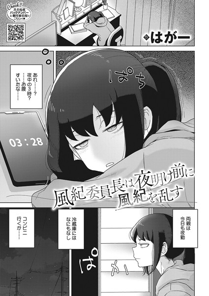 S011akamj02045pl