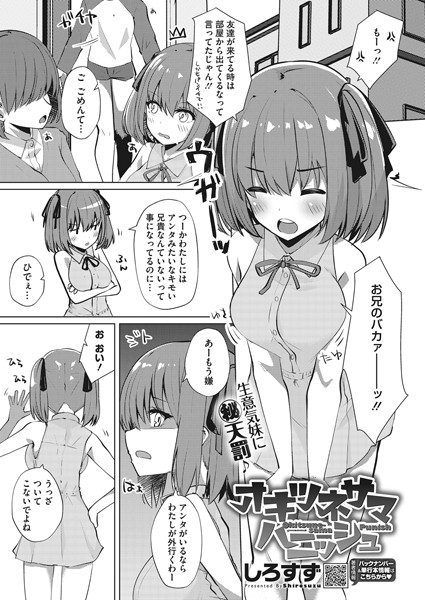 S011akamj01403pl