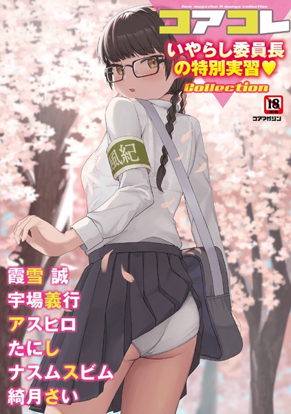 S011akamj01521pl