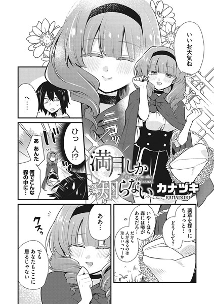 S011akamj01540pl
