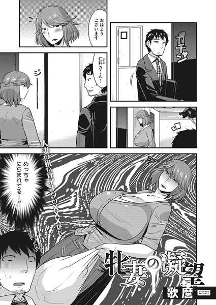 S011akamj01569pl